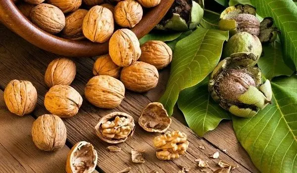 چرا آجیل‌ها باعث چاق نمی‌شوند؟