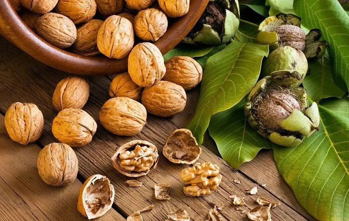چرا آجیل‌ها باعث چاق نمی‌شوند؟