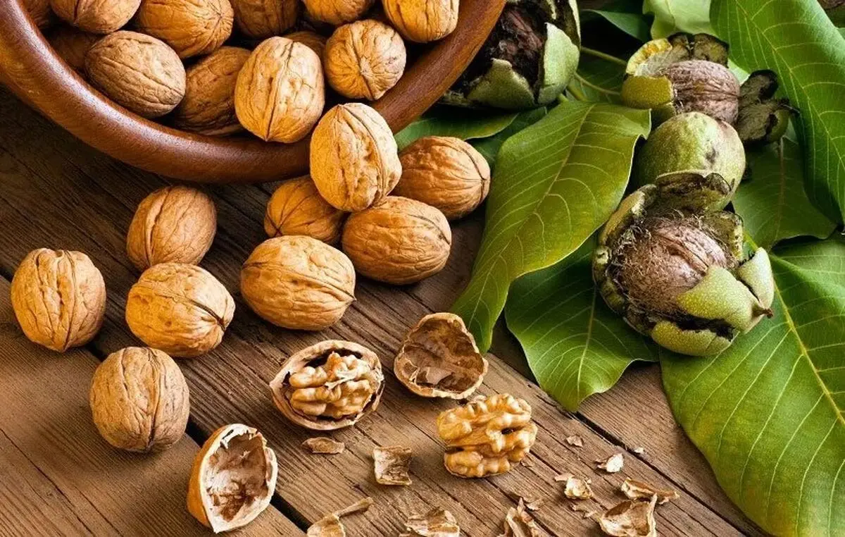 چرا آجیل‌ها باعث چاق نمی‌شوند؟
