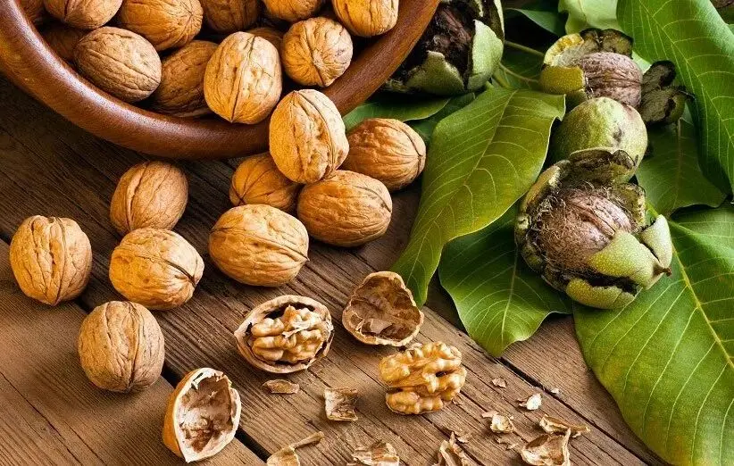 چرا آجیل‌ها باعث چاق نمی‌شوند؟