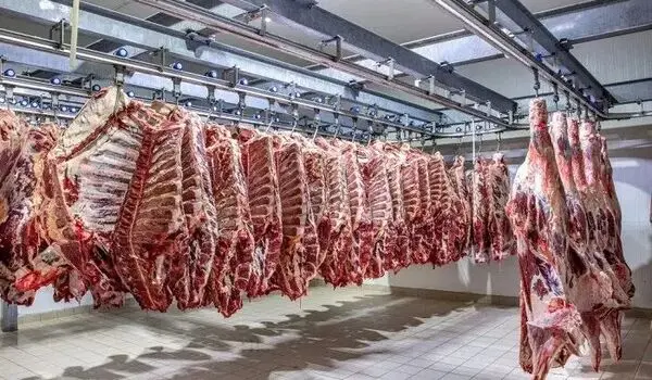 قیمت دام زنده در بازار