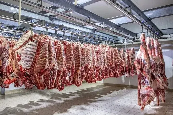 قیمت دام زنده در بازار