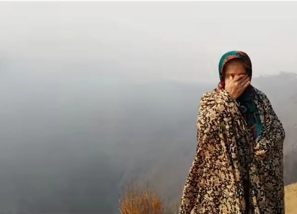 آتش سوزی جنگل های الیت، خراب‌کاری عمدی است؛ ۲۰ نفر دستگیر شدند 