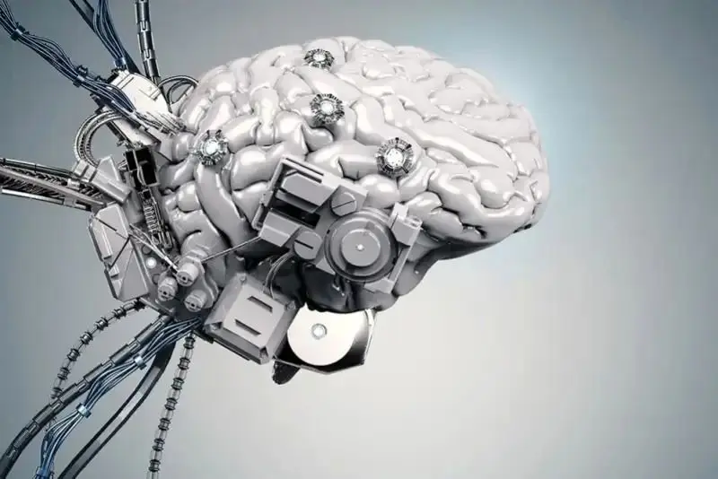 هوش مصنوعی می‌تواند حماقت انسان‌ها را پایدارتر کند
