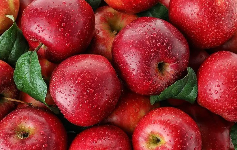 خواص خارق العاده روغن هسته سیب در طب سنتی
