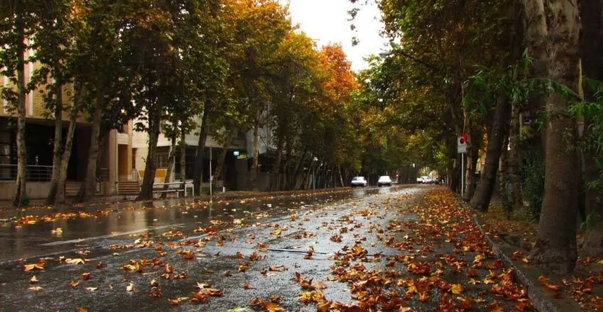 نام یک بازیگر زن مشهور بر خیابانی در تهران + عکس
