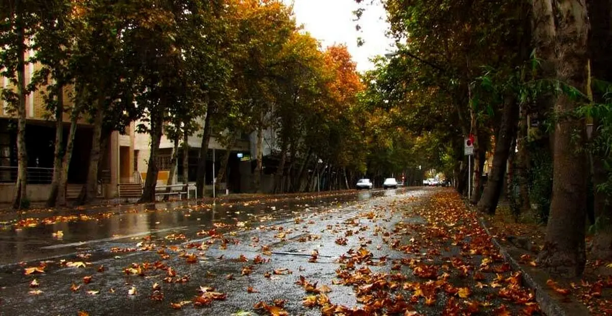 نام یک بازیگر زن مشهور بر خیابانی در تهران + عکس
