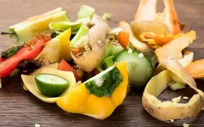 رازهای آشپزخانه سبز: چگونه از دورریختنی‌ها غذاهای سالم و خوشمزه بسازیم؟ طرز تهیه ۶ خوراکی مقوی