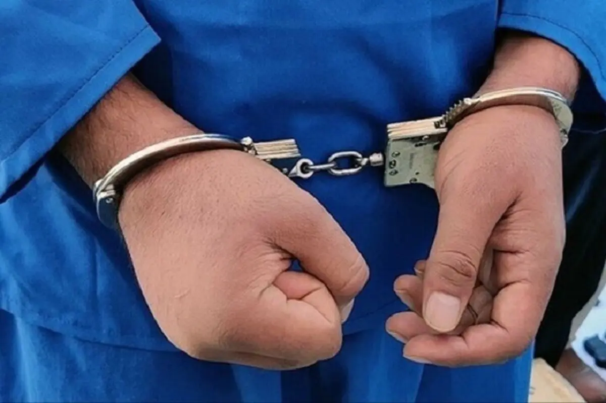 دستگیری یکی از اراذل و اوباش خیابان ولیعصر تهران
