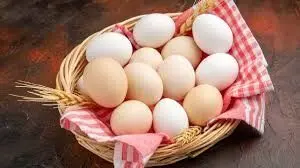 قیمت انواع مرغ و تخم مرغ امروز ۱۵ دی ۱۴۰۴