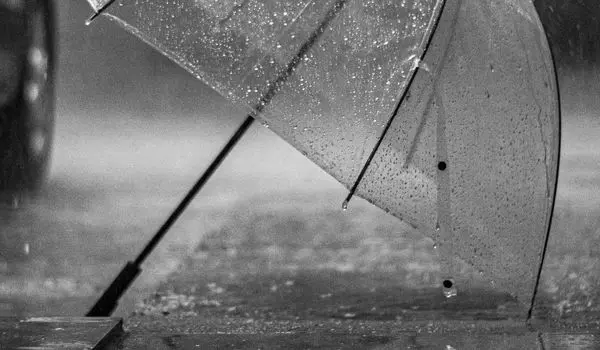 وضعیت هوای فردا گیلان دوشنبه ۲۰ بهمن ۱۴۰۴ | پیش بینی آب و هوای گیلان در ۲۴ ساعت آینده + هواشناسی گیلان