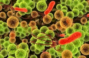 پنج نوشیدنی مفید برای سلامت روده