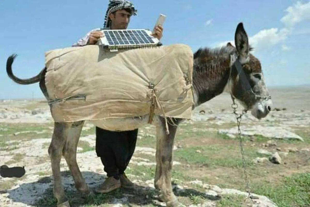 الاغی مجهز به پنل خورشیدی ! +تصویر