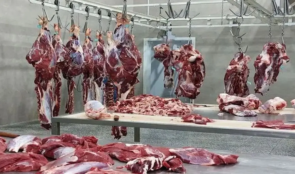 گوشت گوساله در چند قدمی ۲ میلیون تومان | افزایش روزانه قیمت گوشت در بازار