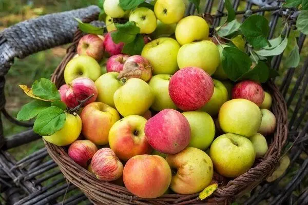 با خوردن سیب، کلسترول و قند خون خود را کنترل کنید