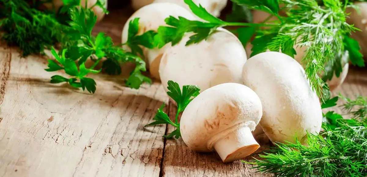 یک ترفند ساده برای افزایش ذخیره ویتامین D قارچ های خوراکی