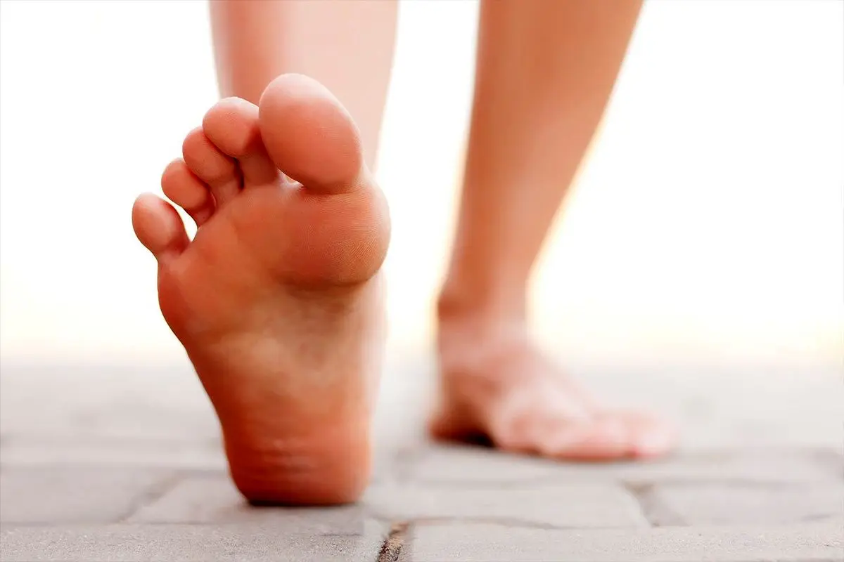 از پای بی‌قرار چه می‌دانیم؟