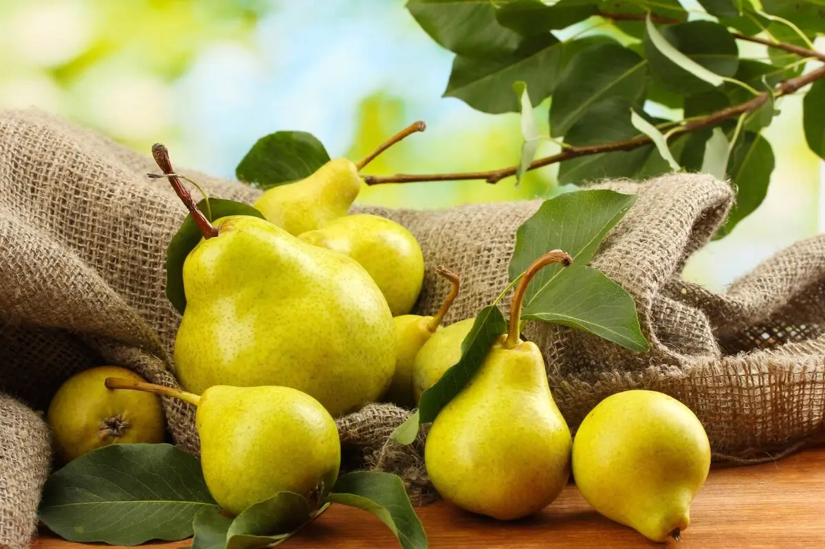 طبع گلابی سرد است یا گرم؟