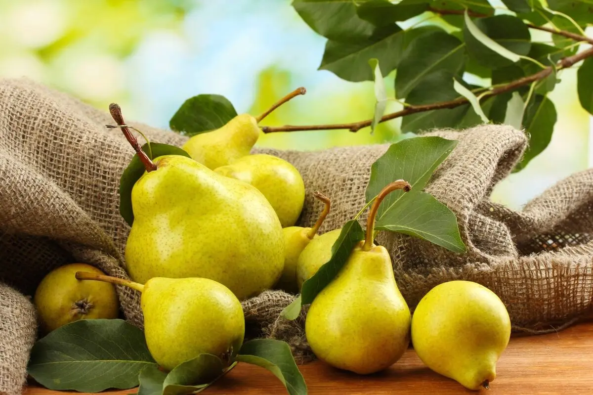 طبع گلابی سرد است یا گرم؟