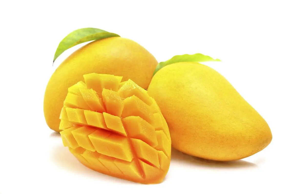 هسته انبه و دانستنی‌هایی درباره آن