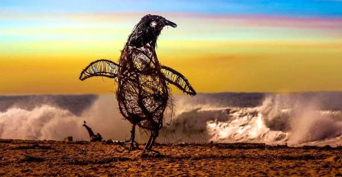 موجودات دریایی از جنس چوب‌های آب آورده + تصویر