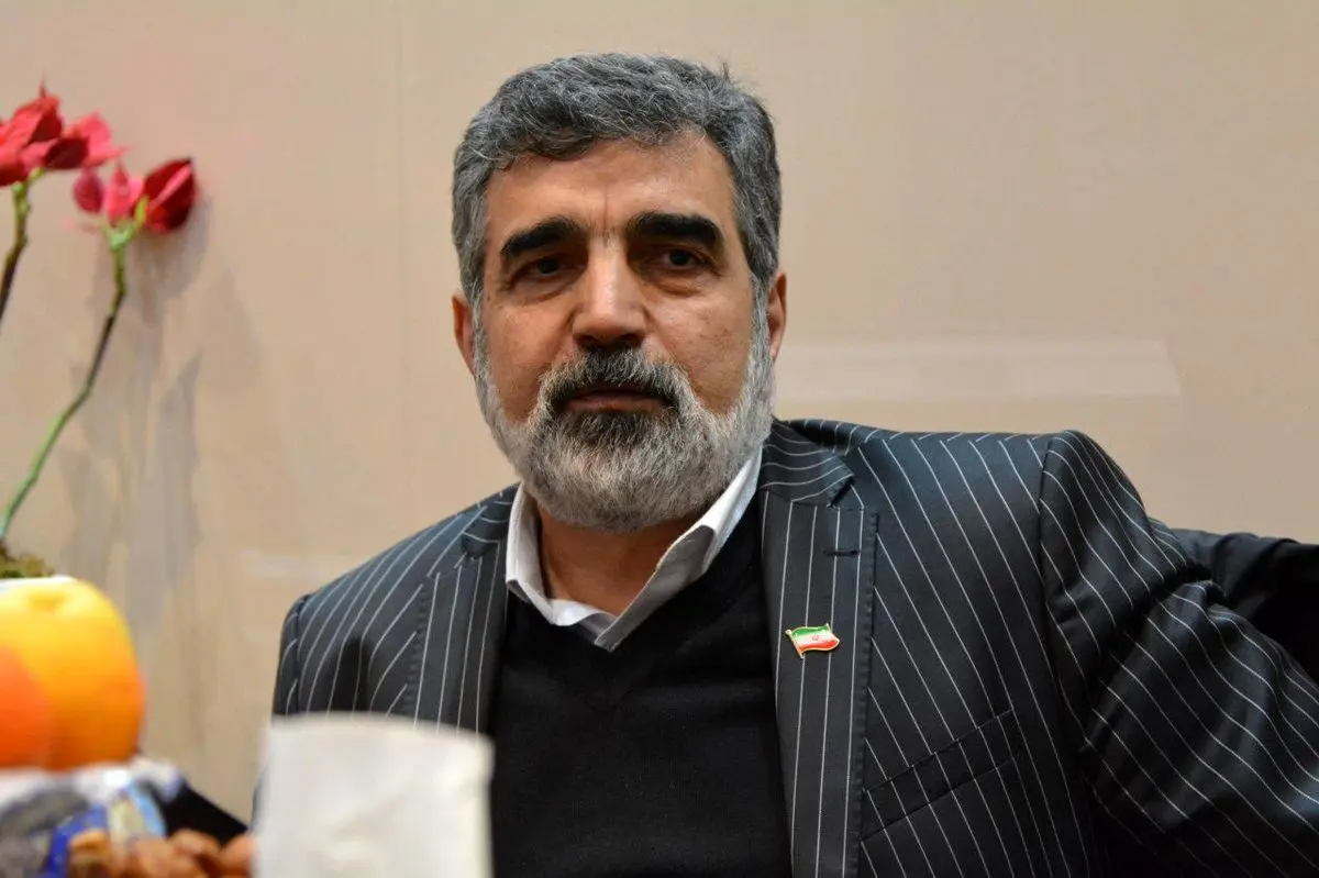 تشریح گزارش اخیر آژانس و پیشرفت‌های هسته‌ای کشور از زبان کمالوندی