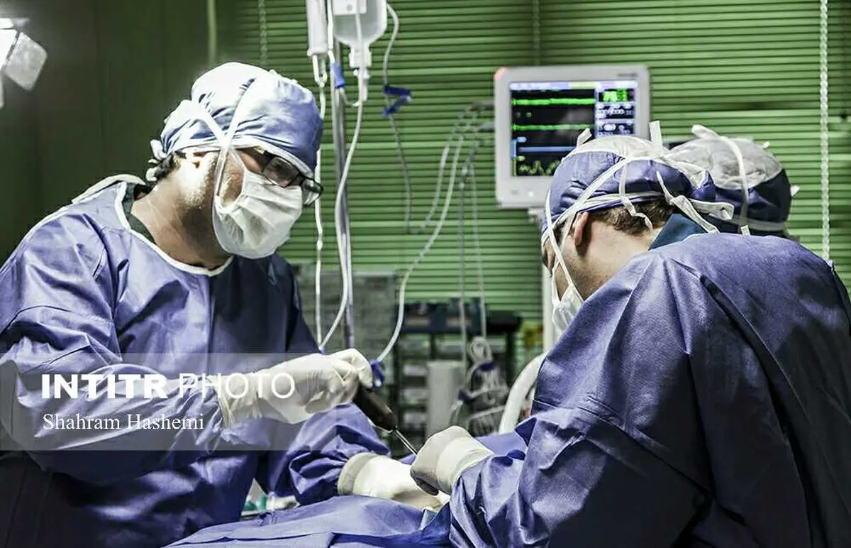 اعتراف یک جراح دامپزشک به انجام عمل زیبایی روی حیوانات + تصاویر | رسانه خبری اینتیتر