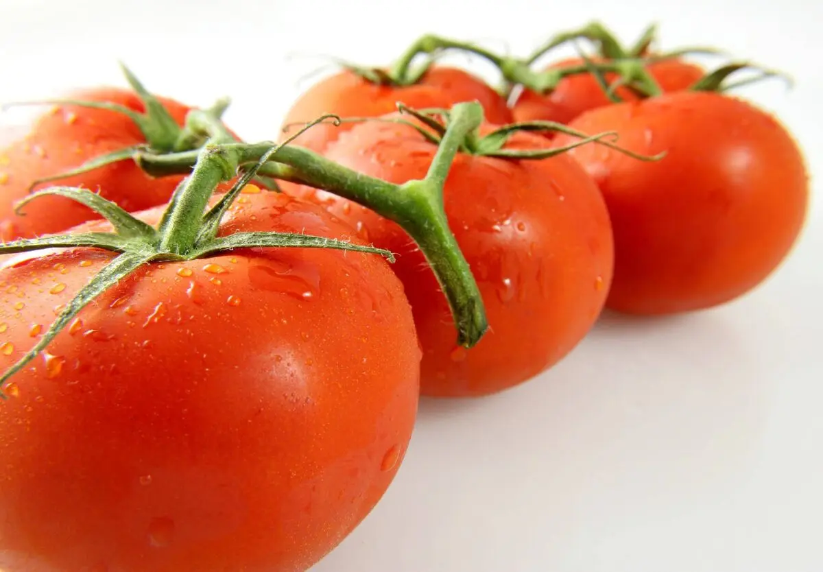 خوراکی‌هایی که نباید در یخچال نگه داشت
