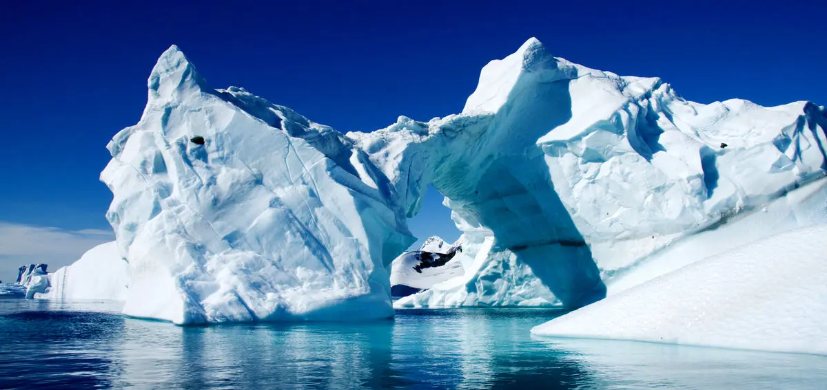 ۴ روش سرگرمی کاوشگران قطب در دوران قرنطینه