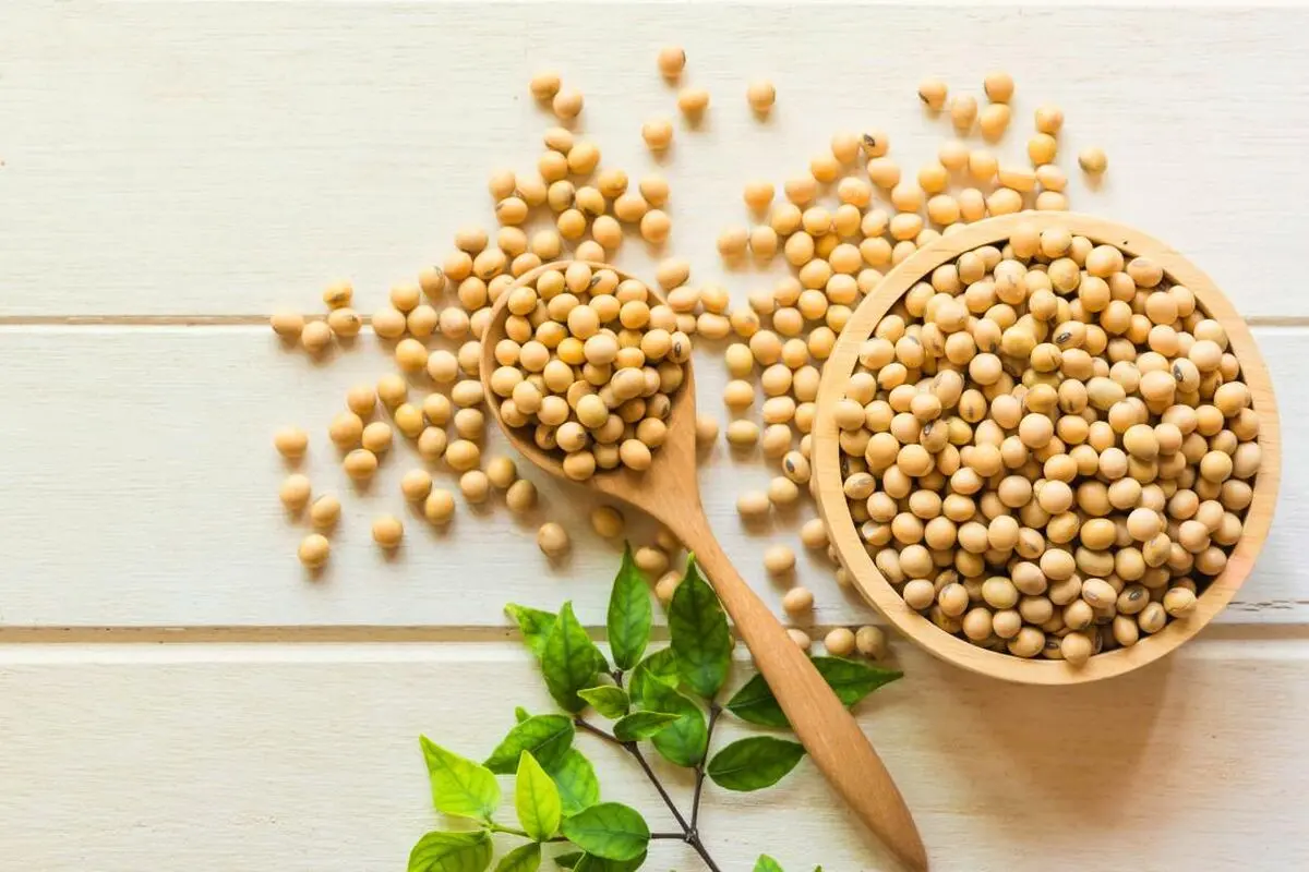 با خواص سویا برای سلامتی آشنا شوید