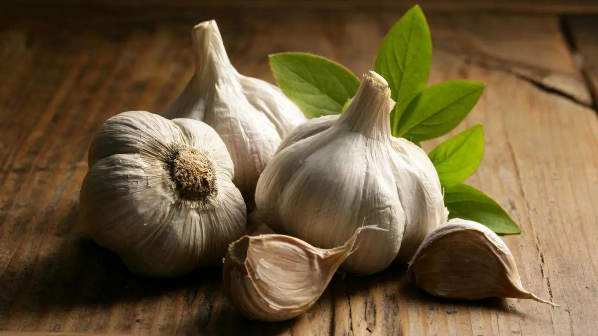 خطراتی که زیاده روی در مصرف سیر به دنبال دارد