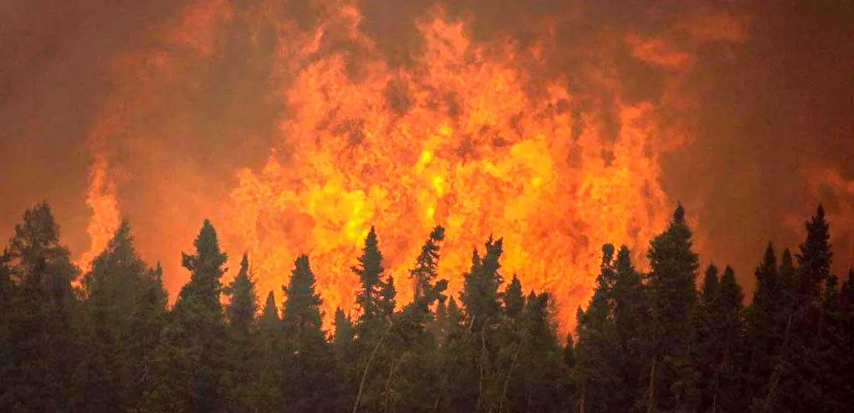 حدود سه هکتار از جنگل‌های بخش دودانگه ساری در آتش سوخت