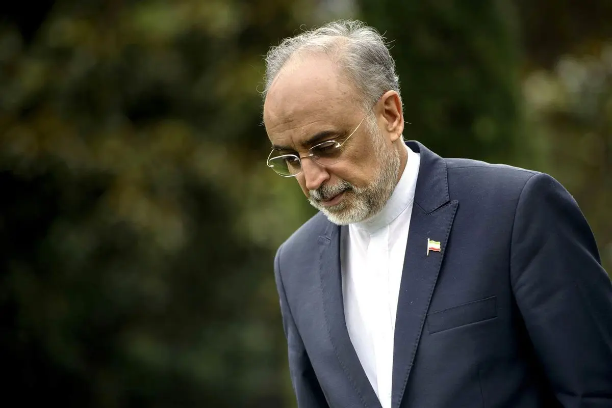 قصد و برنامهای برای کاندیداتوری در انتخابات ندارم