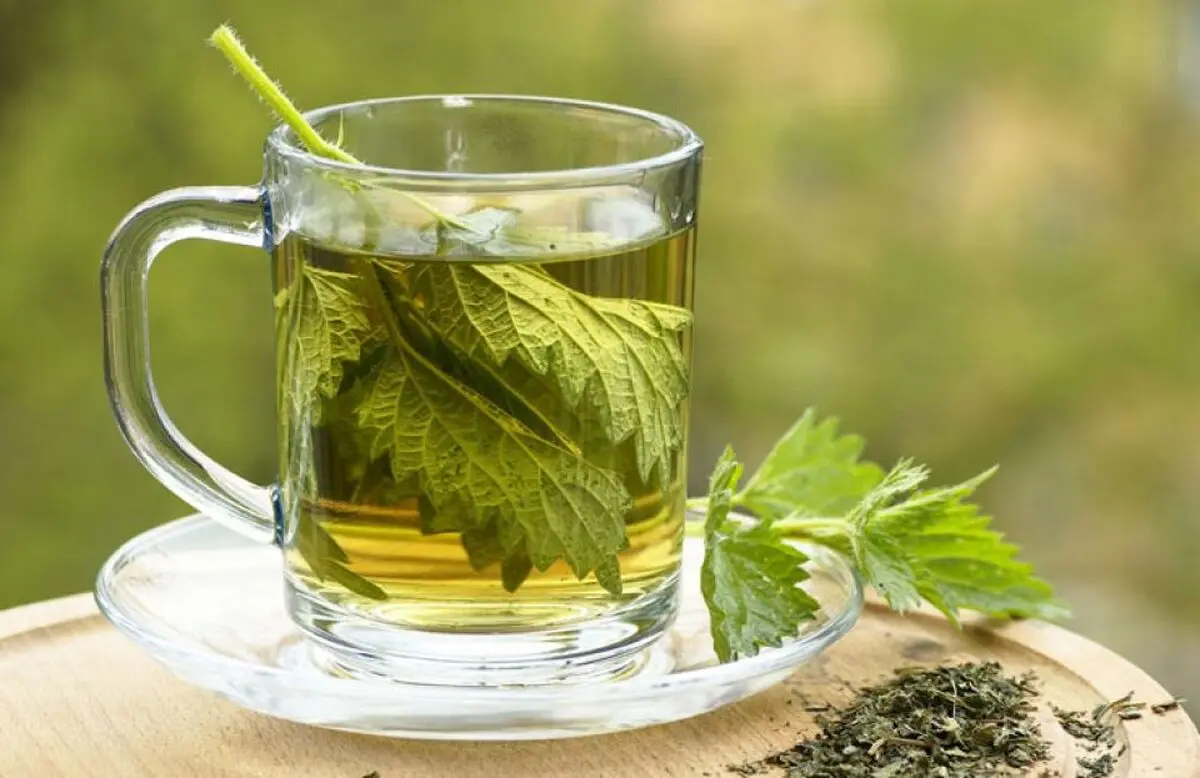 دمنوشی فوق العاده موثر برای مقابله با کم خونی