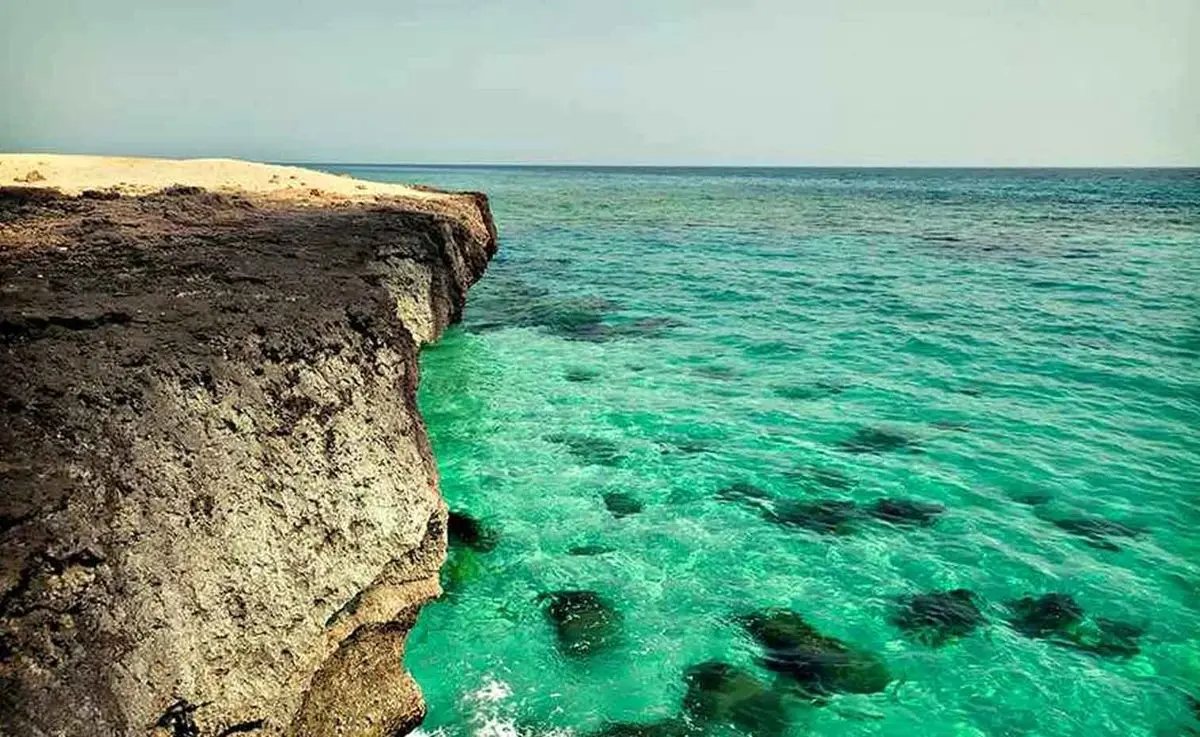 خروج مرجان و صدف از کیش ۶۰ میلیون ریال جریمه دارد