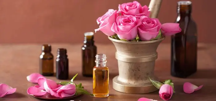بهترین هدیه برای مناسبت های خاص +تصاویر
