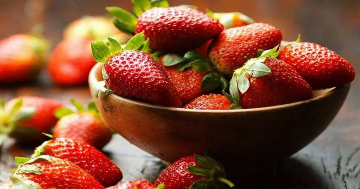 برای پیشگیری از سرطان آنتی اکسیدان بخورید