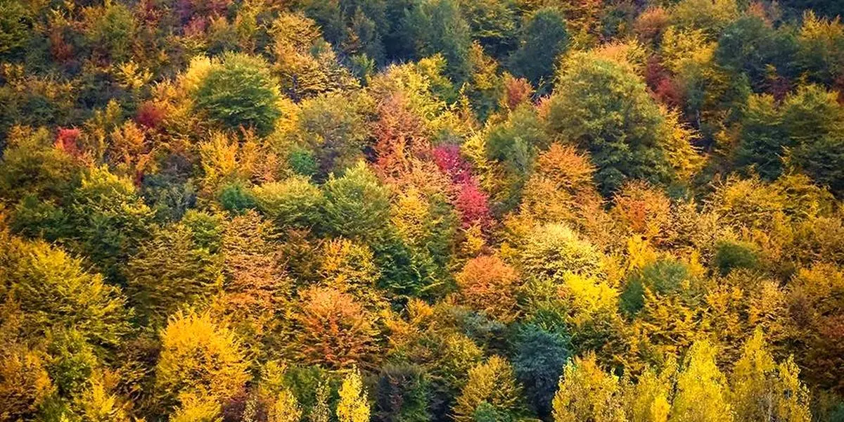 پاییز هزار رنگ مازندران + تصویر