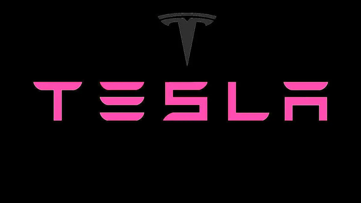 حقایقی درباره کار در کارخانه تسلا