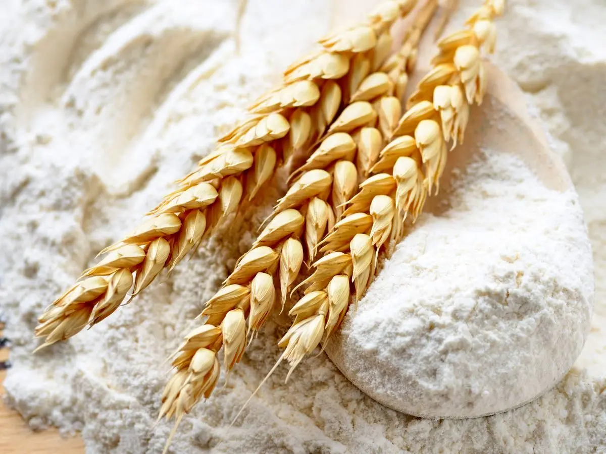دلیل کرم زدن آرد گندم و راه جلوگیری از آن