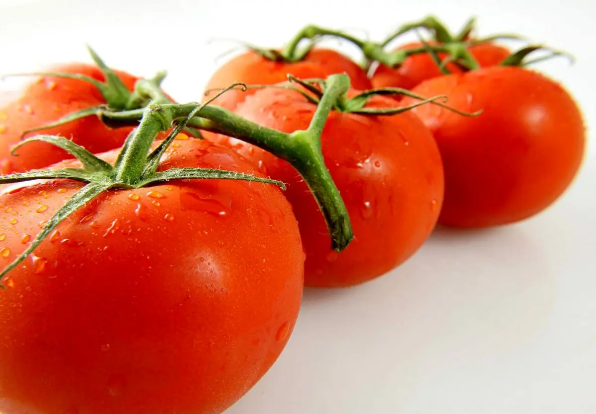 چرا باید هر روز گوجه فرنگی بخوریم؟