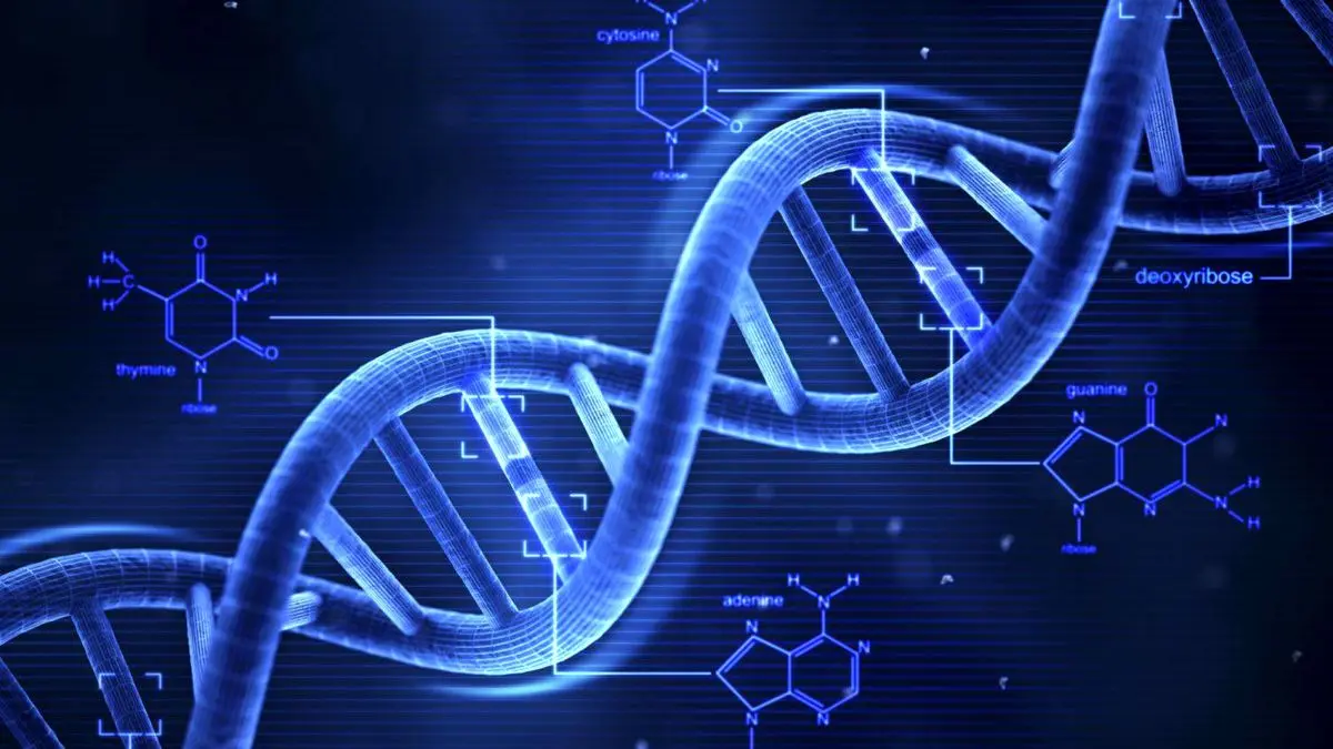 سلاحهای بیولوژیک جدید از اطلاعات DNA افراد برای کشتن شان استفاده می کنند