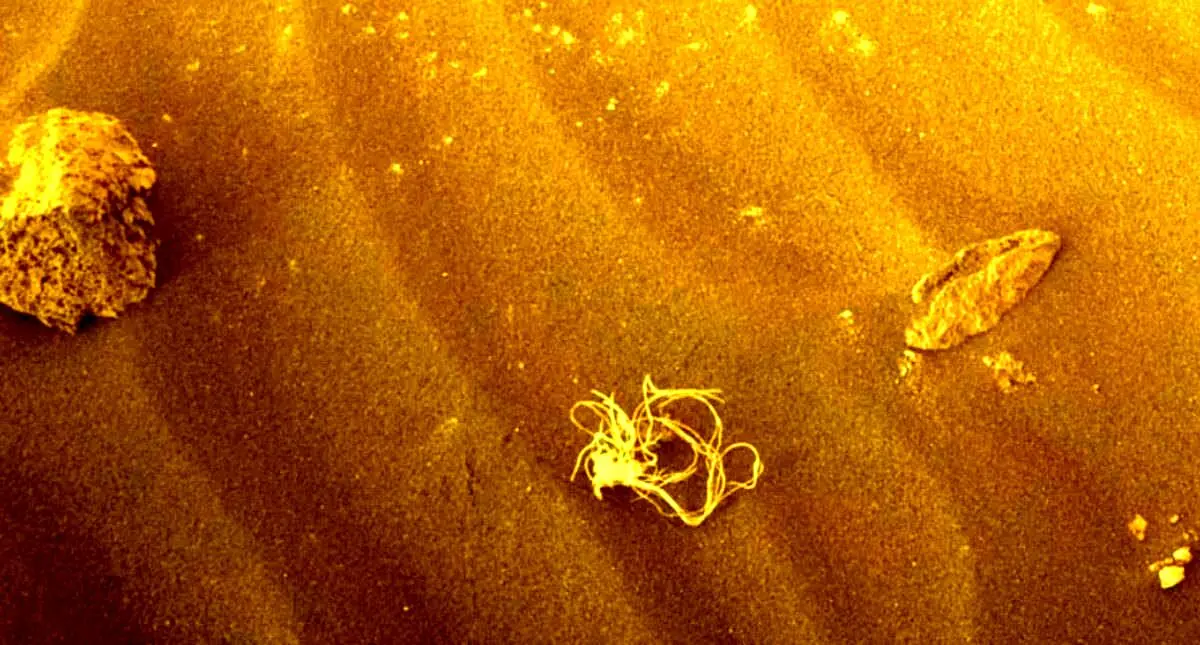 ماجرای جسم مرموز اسپاگتی شکل روی مریخ چه بود؟ + تصویر