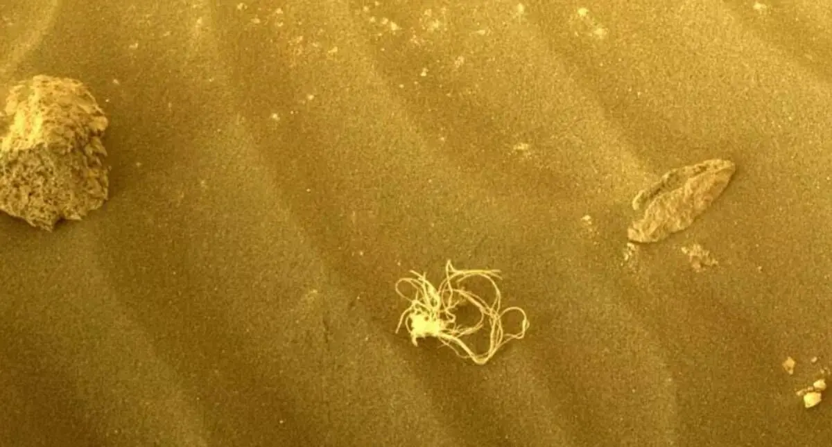 ماجرای جسم مرموز اسپاگتی شکل روی مریخ چه بود؟ + تصویر