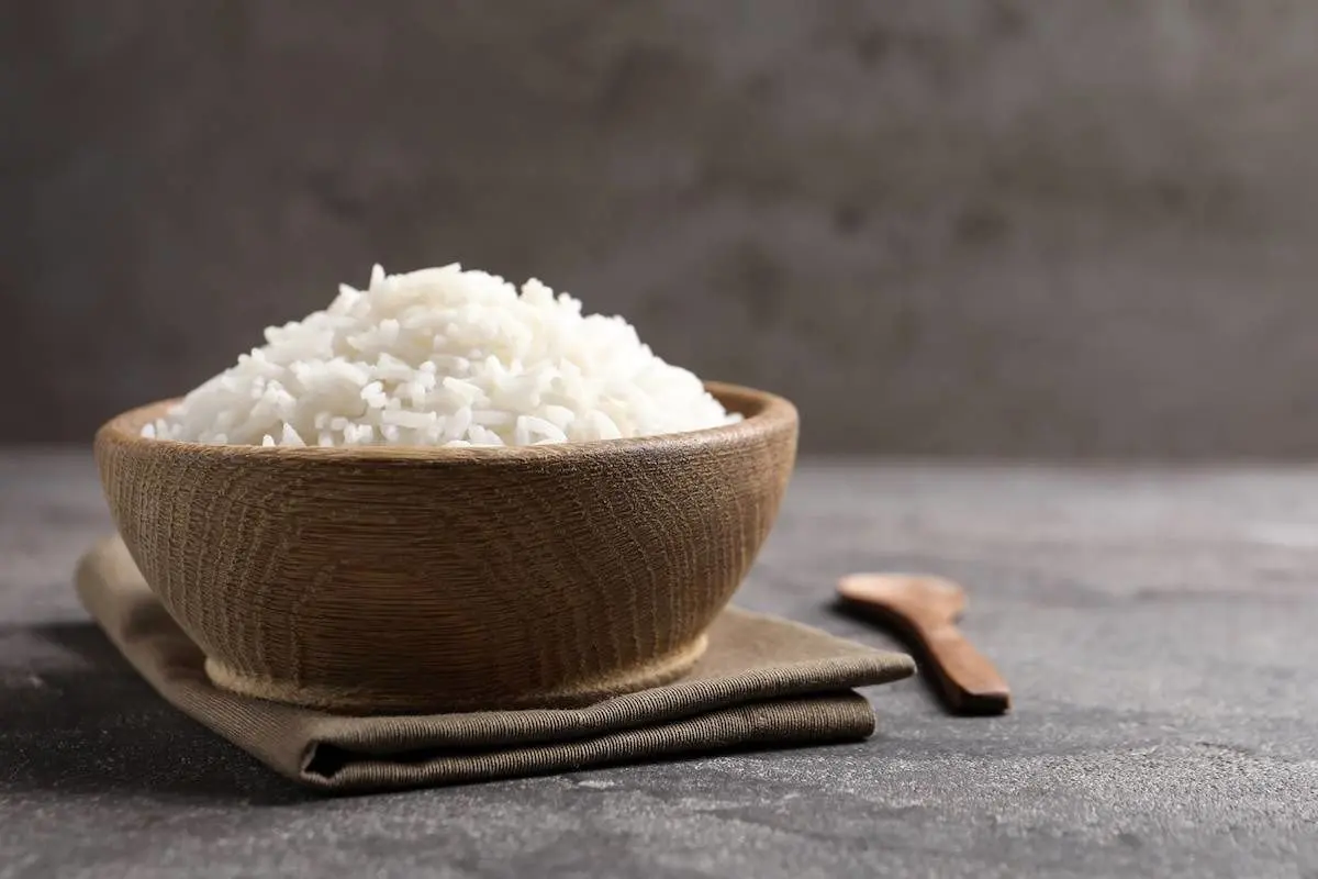 خطر انتقال ویروس مرگبار از طریق برنج پخته شده با فضله موش