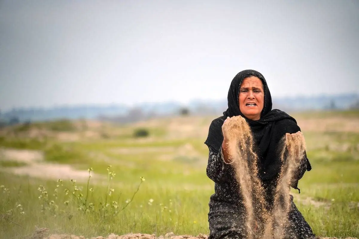 «جهان، نیمکره‌ی شمالی» فیلم ایرانی حاضر در جشنواره «نانسی»