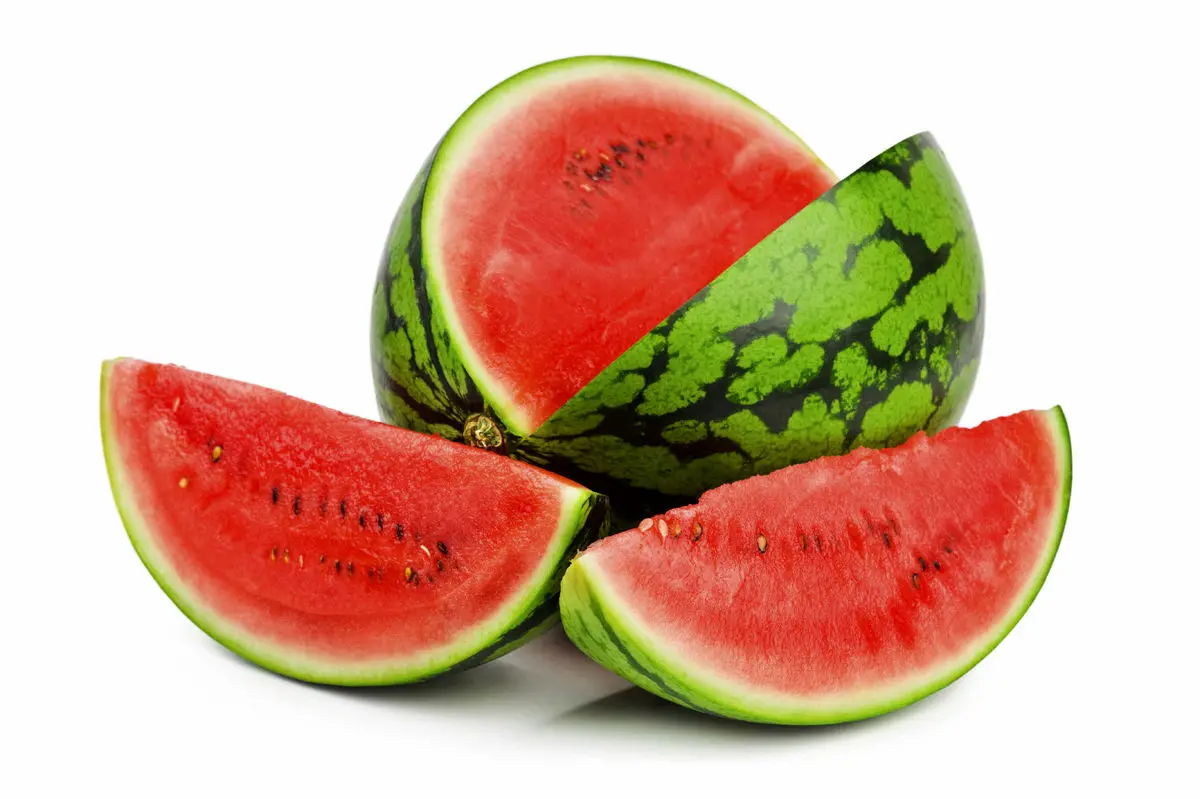 کدام غذاها بدن را از کمآبی نجات میدهند؟