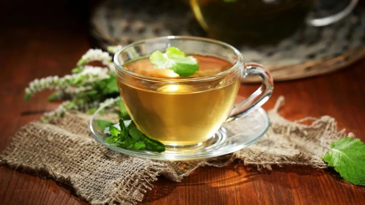 دمنوش را چه مدت میتوان نگهداری کرد؟