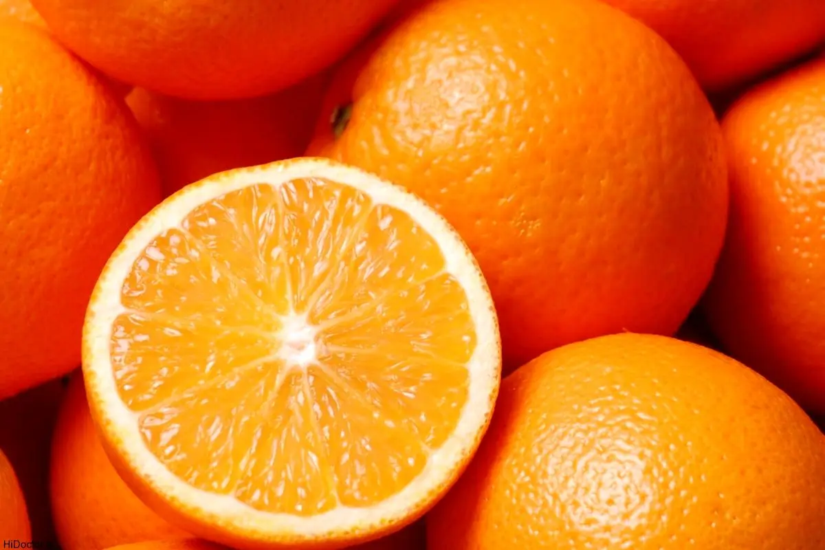 چرا پرتقال جنوب گران‌تر از مرکبات شمال شد؟