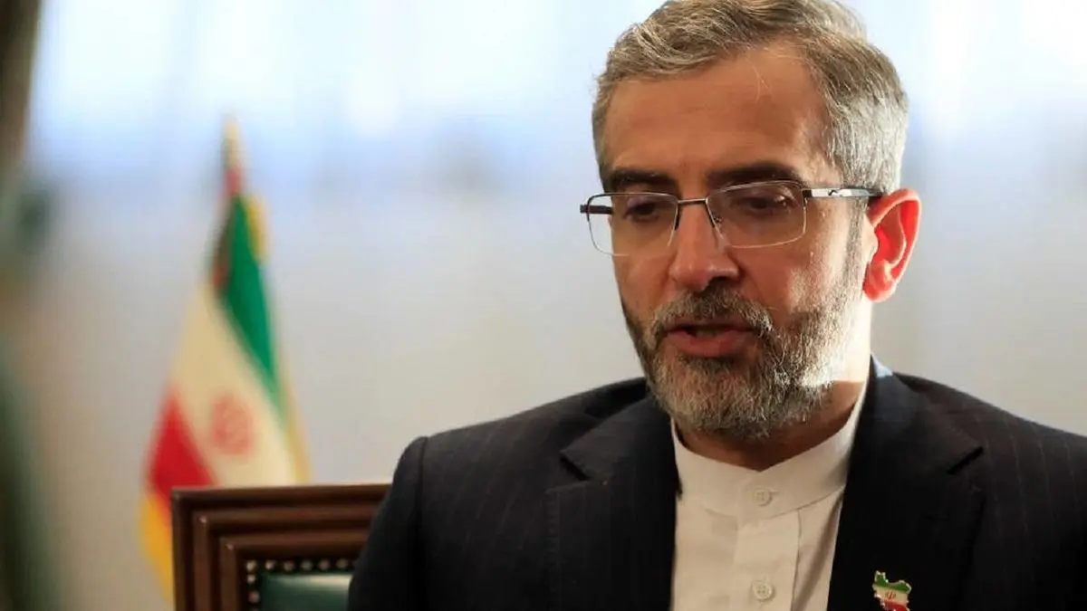 باقری: روابط ایران با همسایگان در مسیر توسعه و تحکیم است